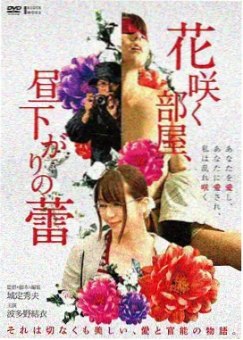 三国演义嘉靖壬午本整理稿封面